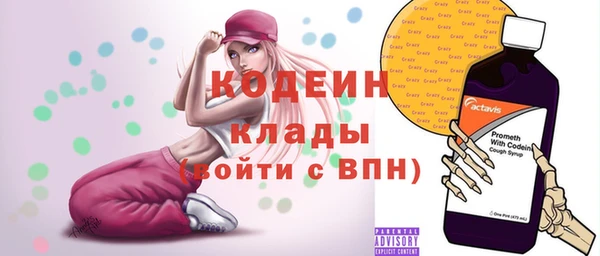 эйфоретик Каменка