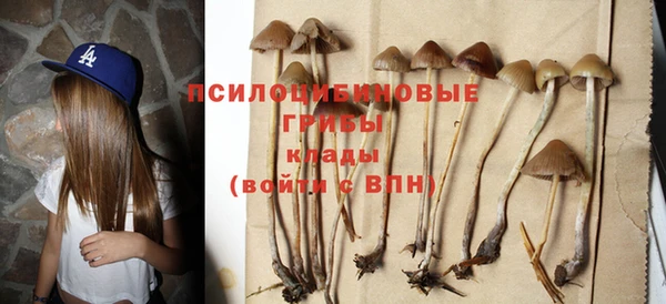 марки nbome Каменногорск