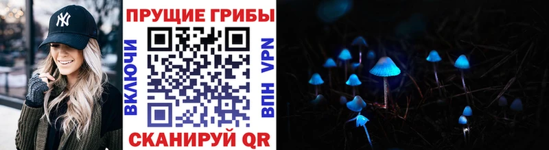Купить закладки  Верхотурье  Галлюциногенные грибы ЛСД 